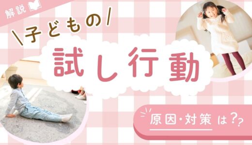 子どもの試し行動とは？【年齢・例・原因・対応・保育園】
